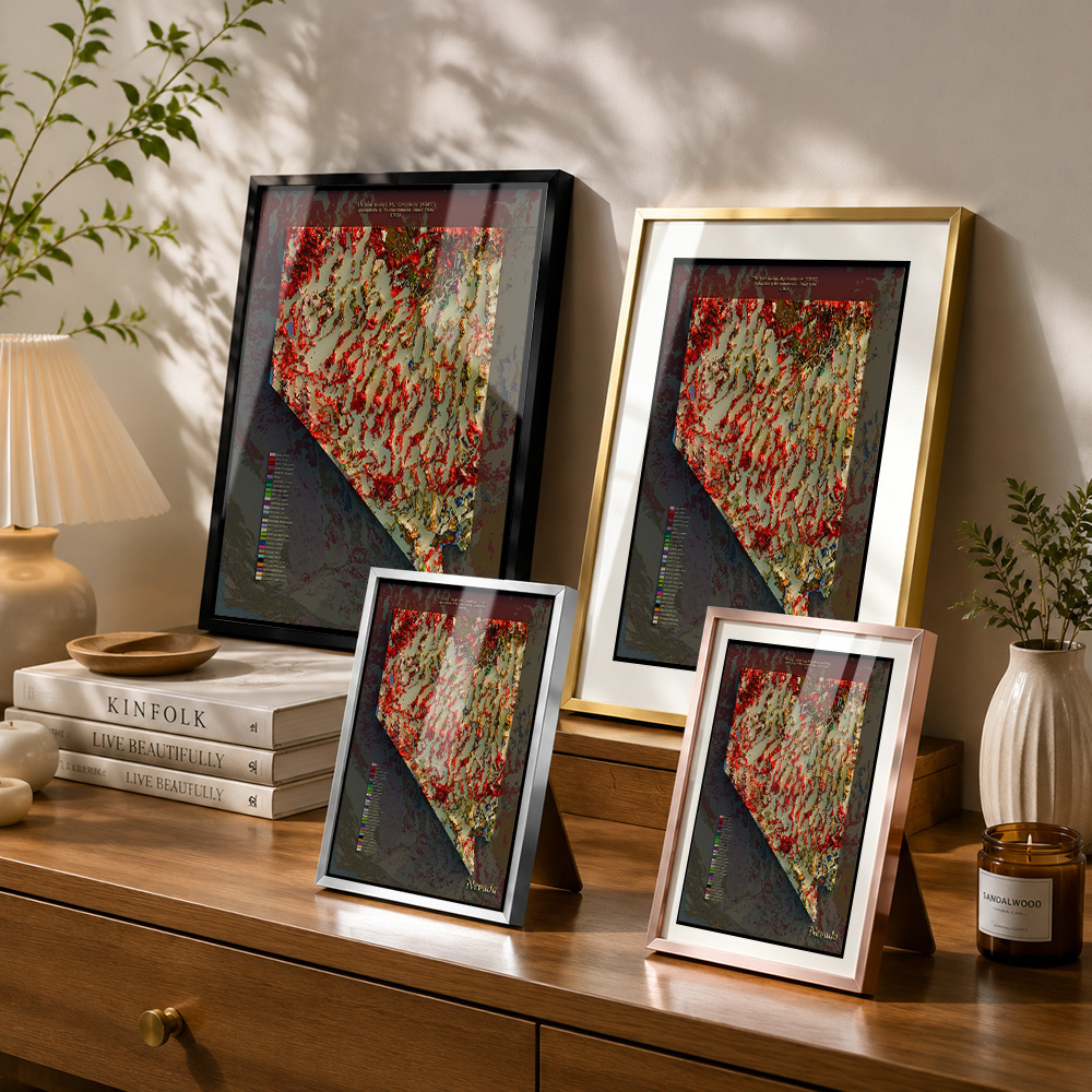 Poster in metallo con cornice  - Custom Map Poster recensione e prezzo